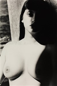 Image description is not available for 2011.046